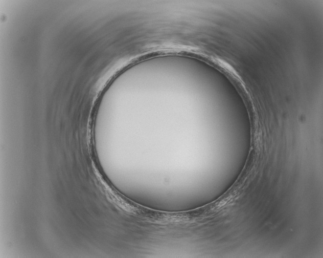 X0000053071183200508011932