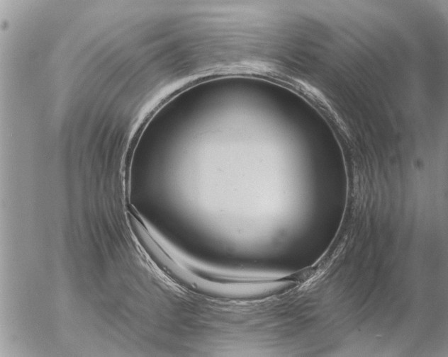 X0000053071184200508011932