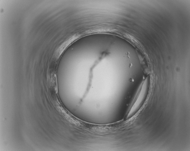 X0000053071185200508011932