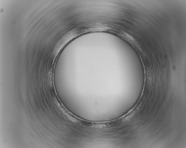 X0000053071186200508011932