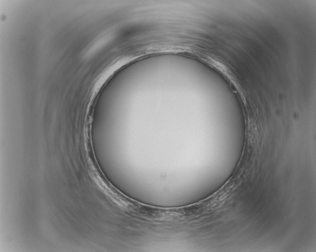 X0000053071187200508011932