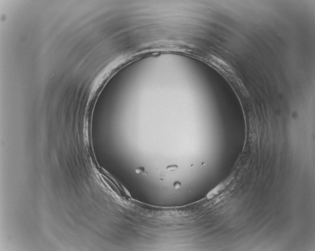 X0000053071188200508011932