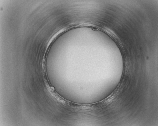 X0000053071190200508011932