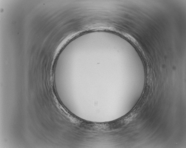 X0000053071191200508011932