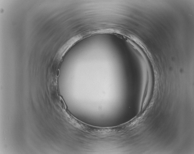 X0000053071193200508011932