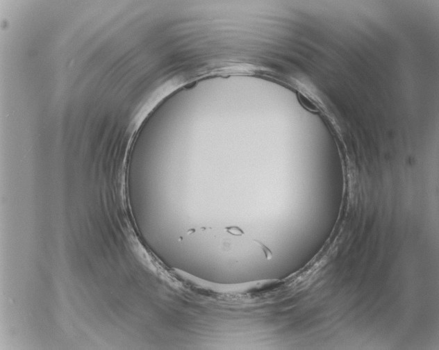 X0000053071194200508011932