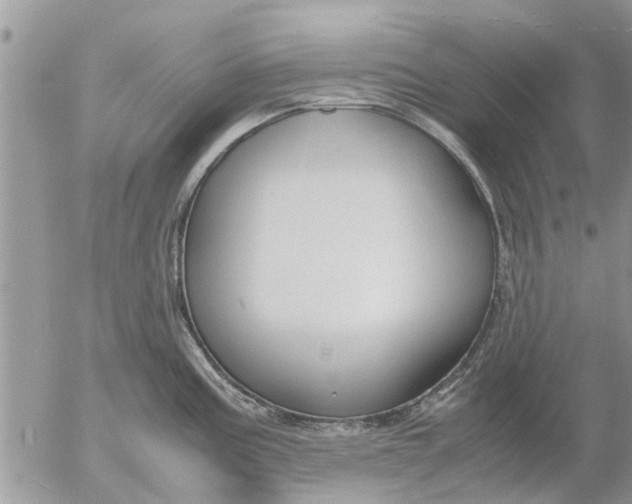 X0000053071195200508011932