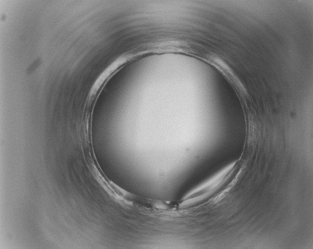 X0000053071196200508011932