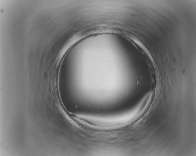 X0000053071197200508011932