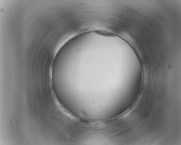 X0000053071198200508011932