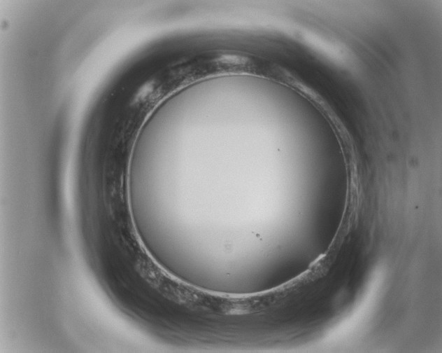 X0000053071199200508011932