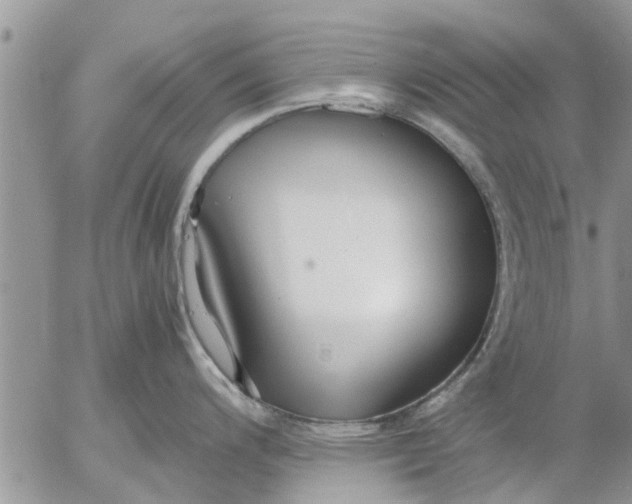 X0000053071200200508011932