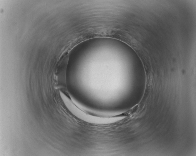 X0000053071202200508011931