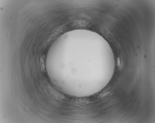 X0000053071203200508011931