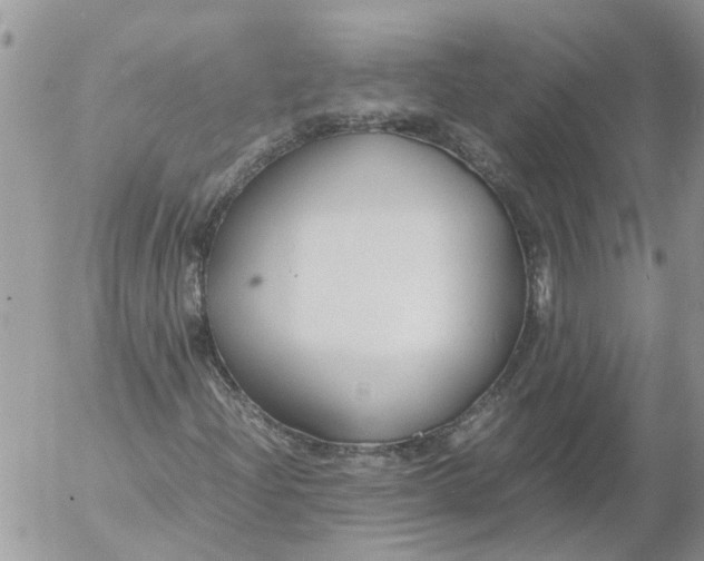 X0000053071204200508011931