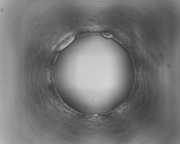 X0000053071205200508011931