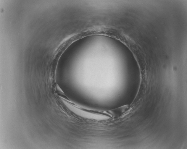 X0000053071206200508011931