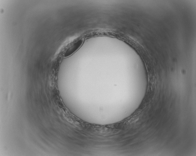 X0000053071207200508011931