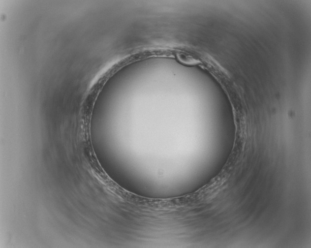 X0000053071208200508011931