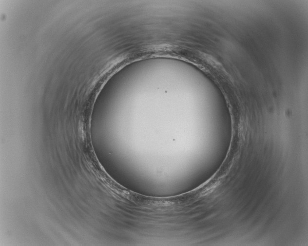 X0000053071209200508011931