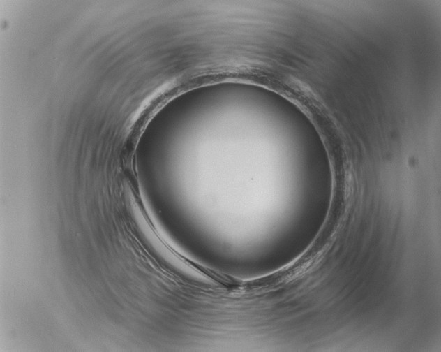 X0000053071210200508011931