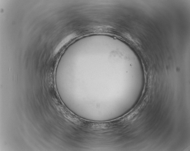 X0000053071211200508011931