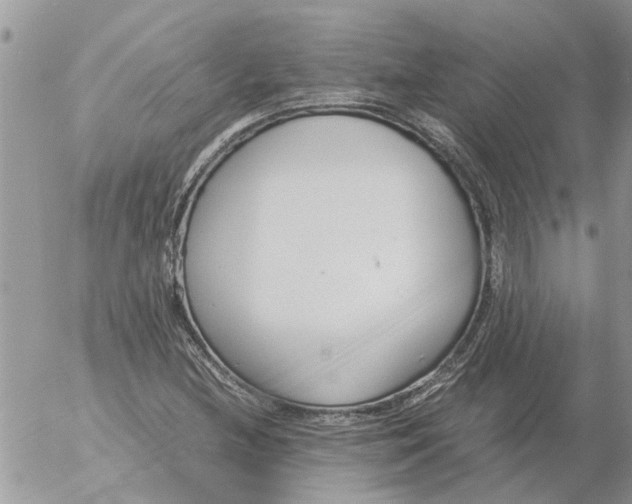 X0000053071212200508011931