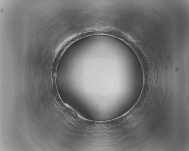 X0000053071214200508011931