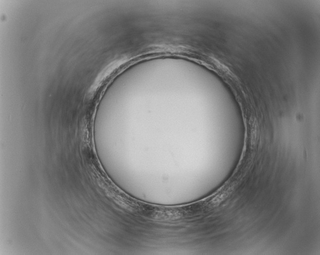 X0000053071215200508011931