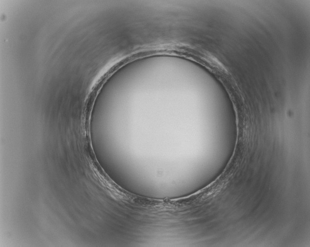 X0000053071216200508011931