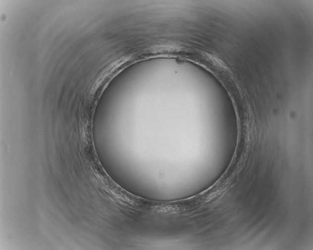 X0000053071217200508011931