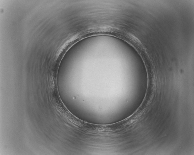 X0000053071218200508011931