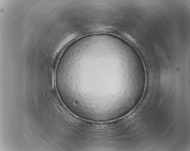 X0000053071219200508011931