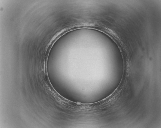 X0000053071220200508011931