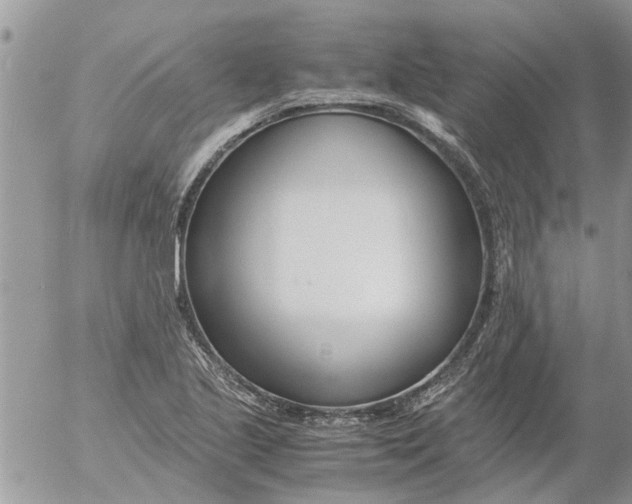 X0000053071221200508011931