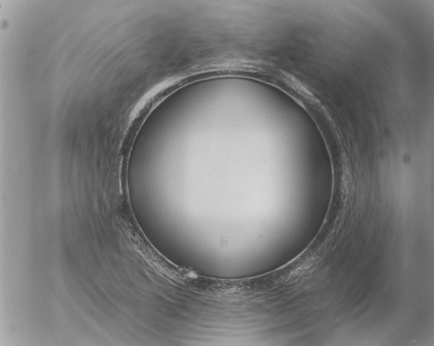 X0000053071222200508011931