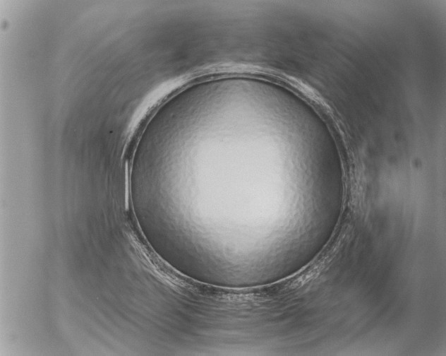 X0000053071223200508011931