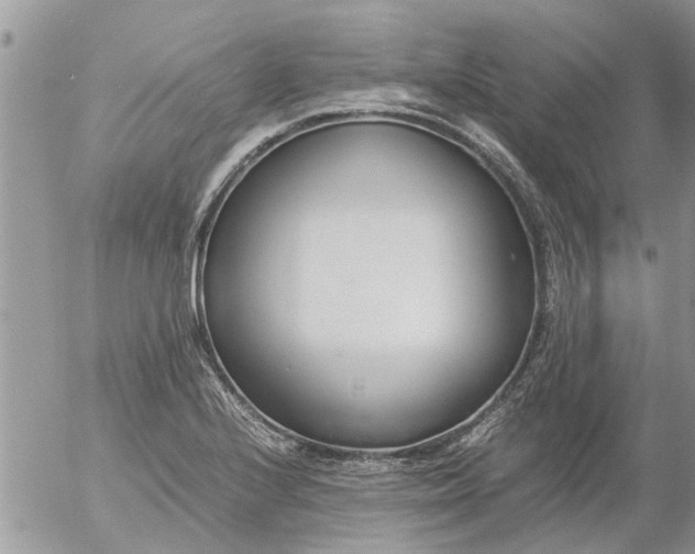 X0000053071224200508011931