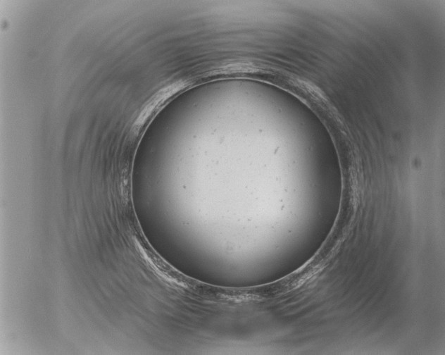 X0000053071225200508011931