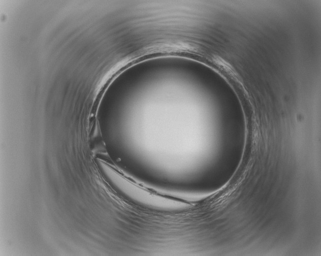 X0000053071226200508011931