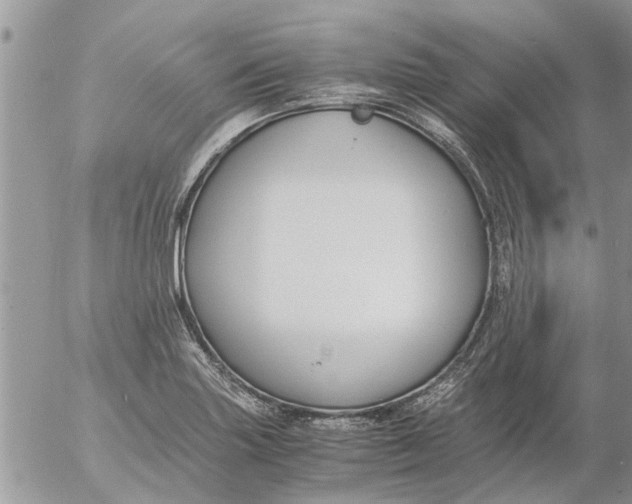 X0000053071227200508011931