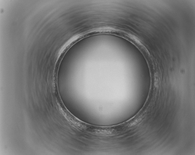 X0000053071229200508011931