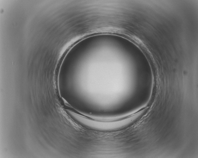 X0000053071230200508011931