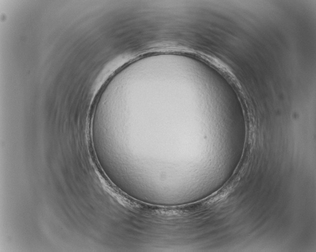 X0000053071231200508011931