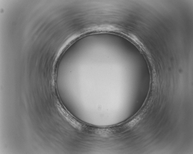 X0000053071232200508011931