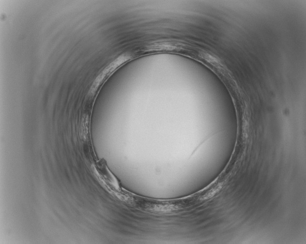 X0000053071233200508011931