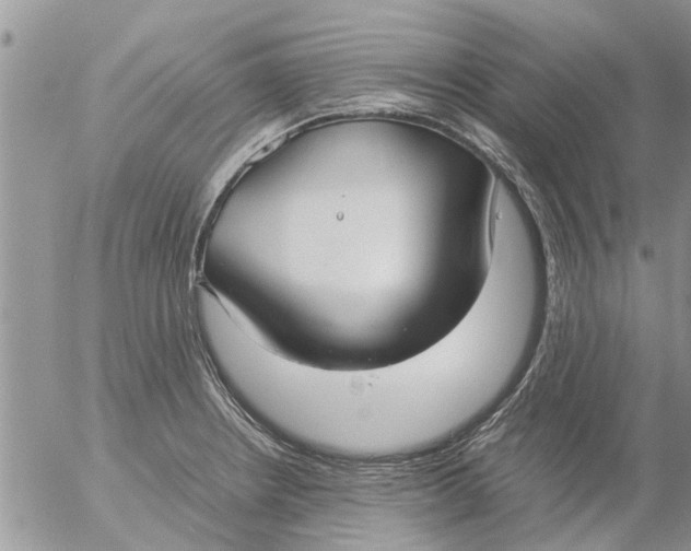 X0000053071234200508011931