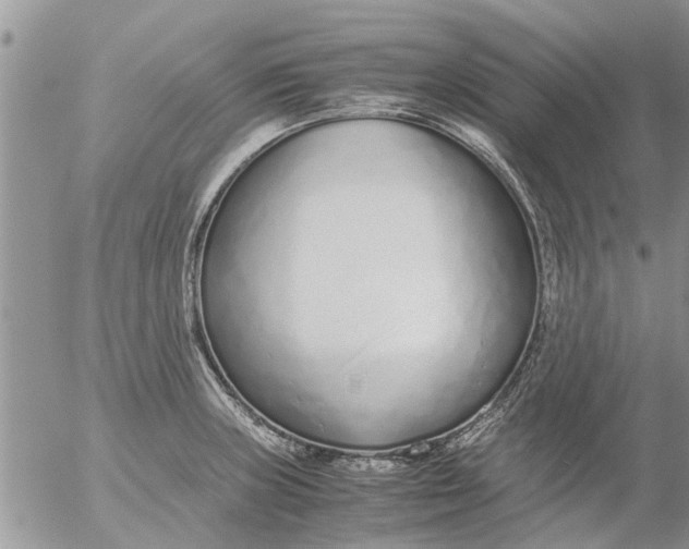 X0000053071235200508011931