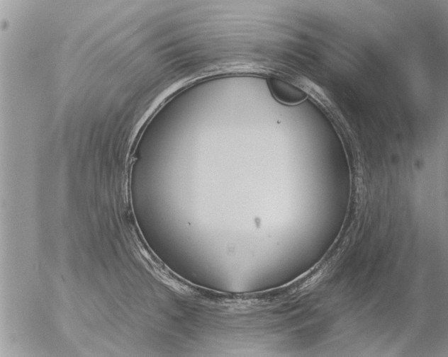 X0000053071236200508011932