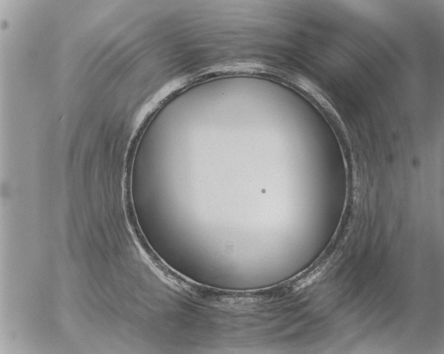 X0000053071237200508011932